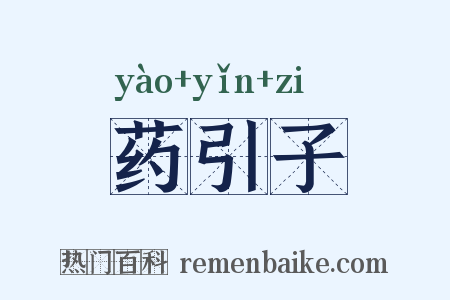 药引子是什么意思的图片